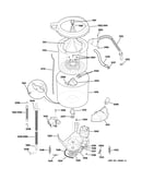 Tub & motor