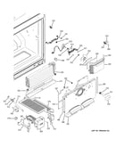 Freezer section