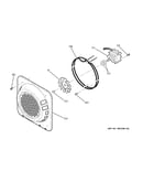 Convection fan