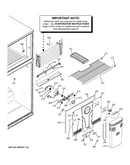 Freezer section
