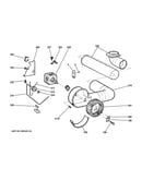 Blower & motor
