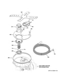 Sump & filter assembly