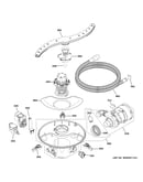 Motor, sump & filter assembly