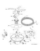 Motor, sump & filter assembly