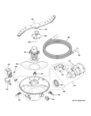 Motor, sump & filter assembly