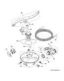 Motor, sump & filter assembly