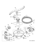 Motor, sump & filter assembly