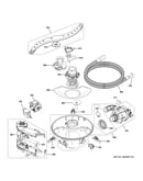 Motor, sump & filter assembly