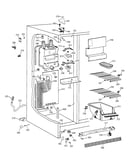 Freezer section
