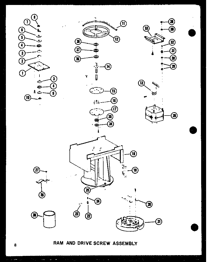 Ram and drive screw assembly