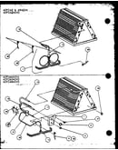 Capillary assembly