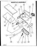 Manifold assembly