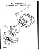 Recuperator coil & induced draft blower assy