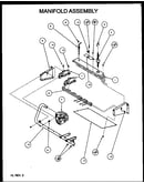 Manifold assembly