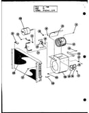 (pkm3-1h/p55196-20c) (pkm3-1h/p55196-22c)