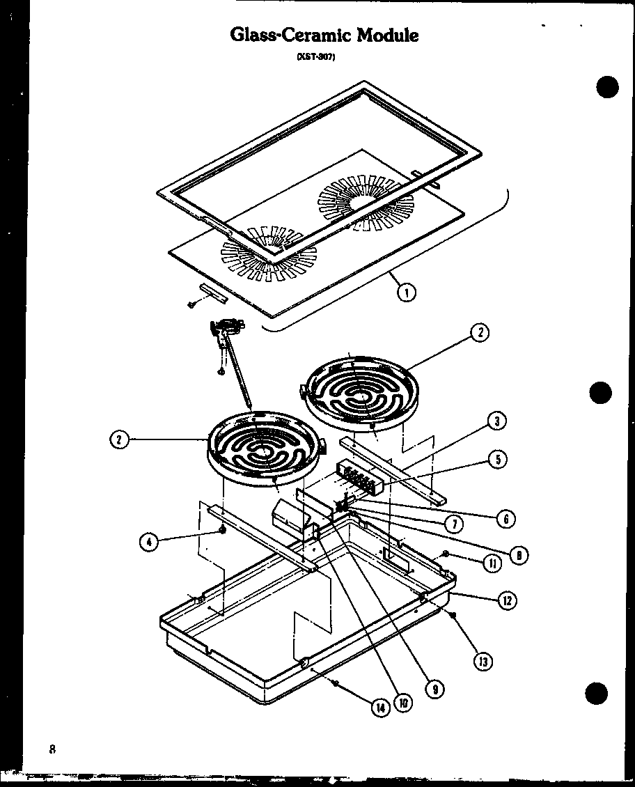 Glass-ceramic module (cc-2/p27271-2s)