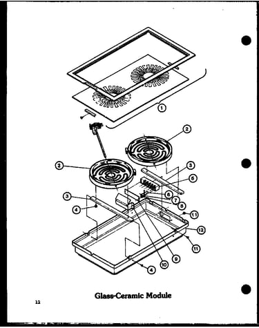Glass-ceramic module