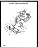 Top & top burner assembly