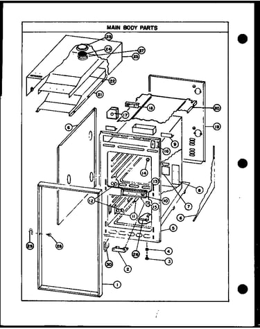 Main body parts