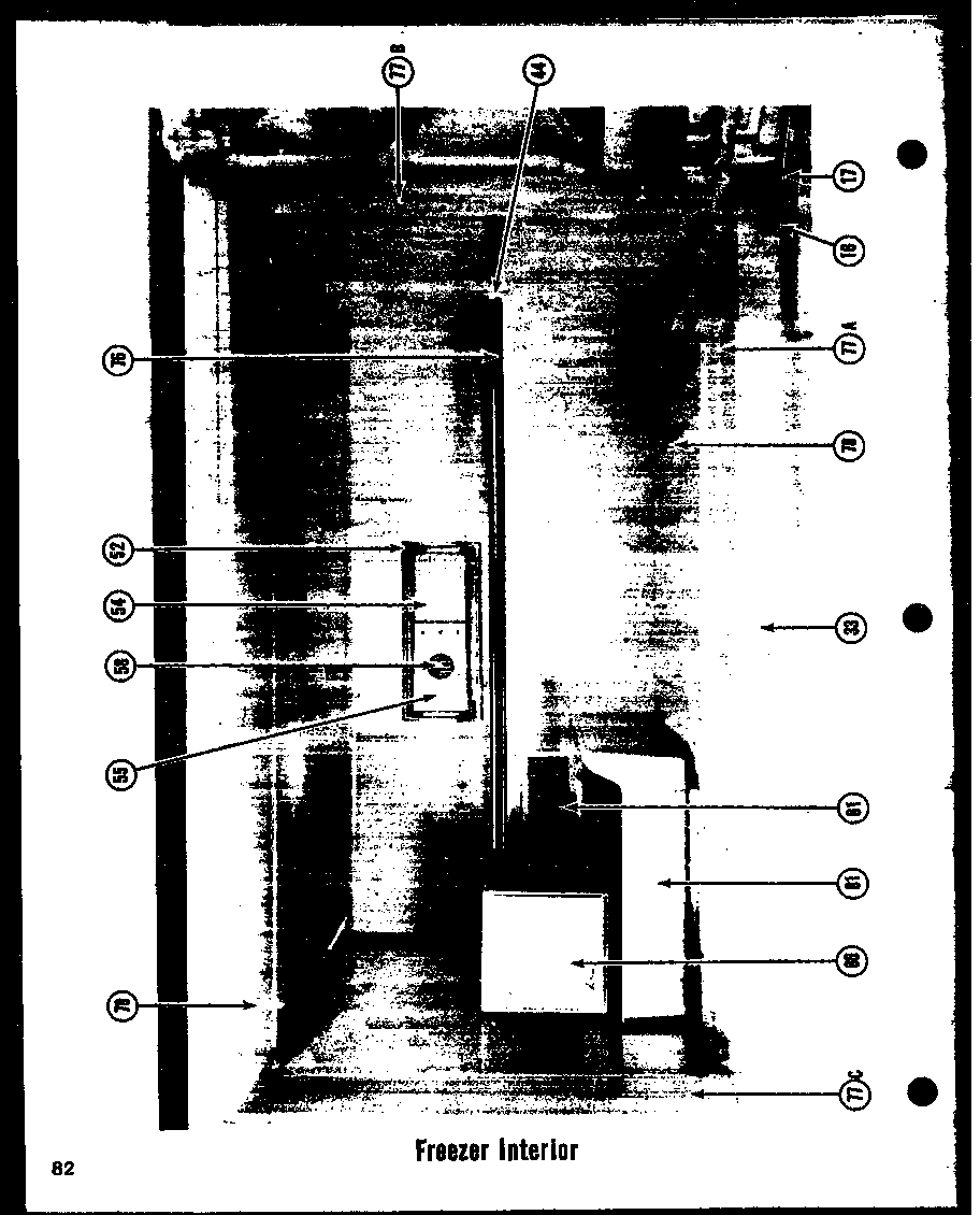 FREEZER INTERIOR (TR-19D) (TR-19LD) (TCI-19D) (TCI-19LD)