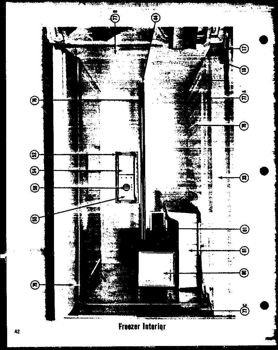 FREEZER INTERIOR (TR-19E) (TR-19LE) (TCI-19E) (TCI-19LE)