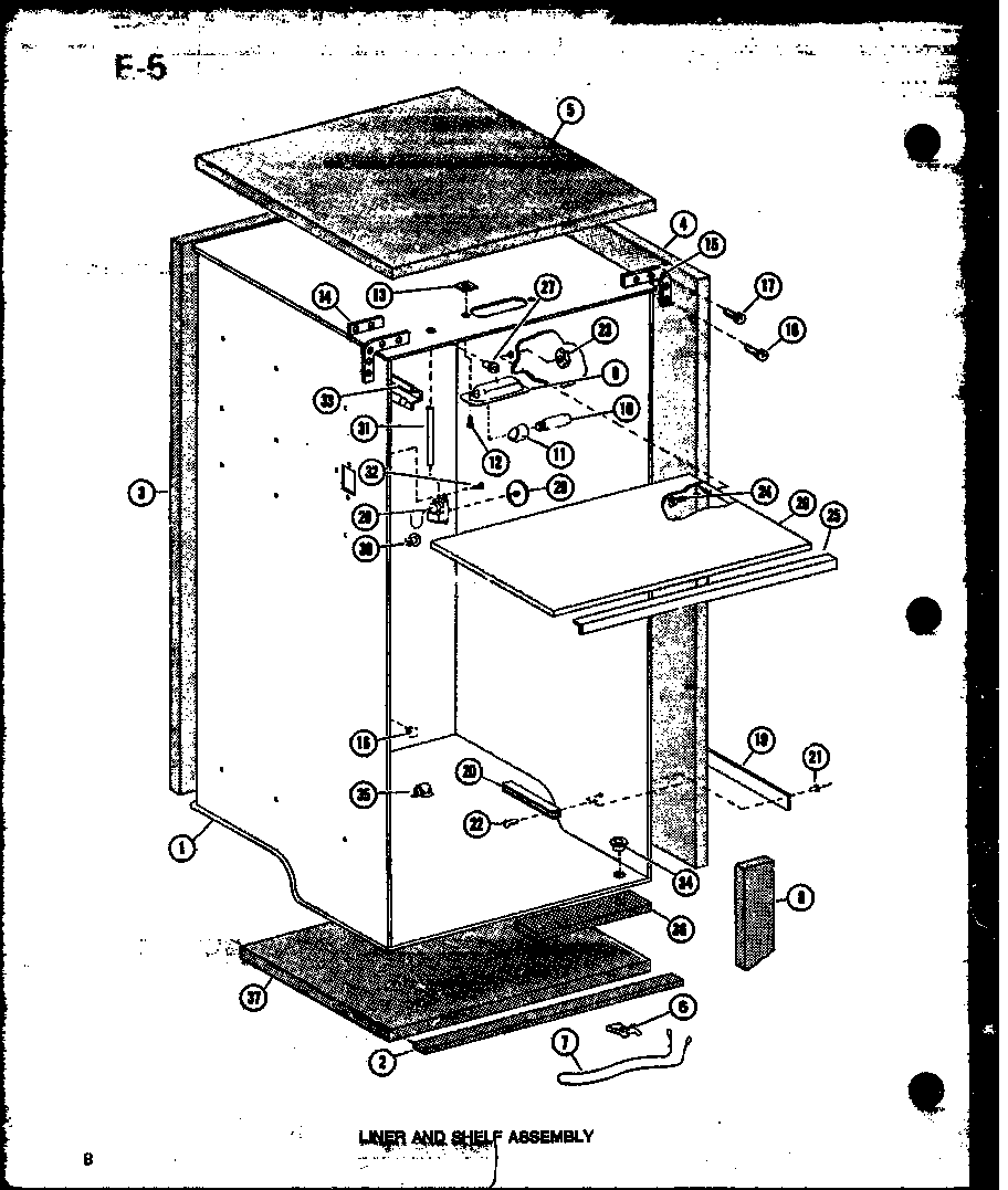 Liner and shelf assembly