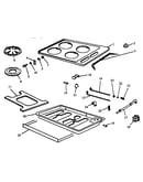 Main body (rtp203/all)