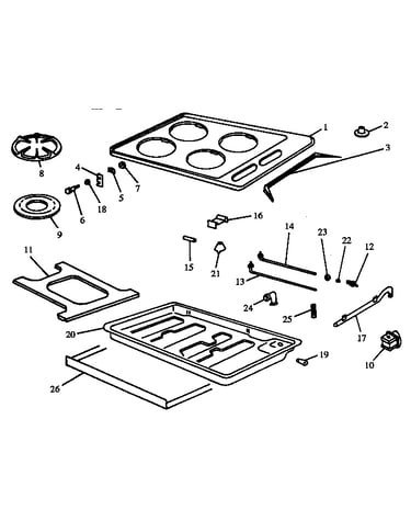Main body (rtp203/all)