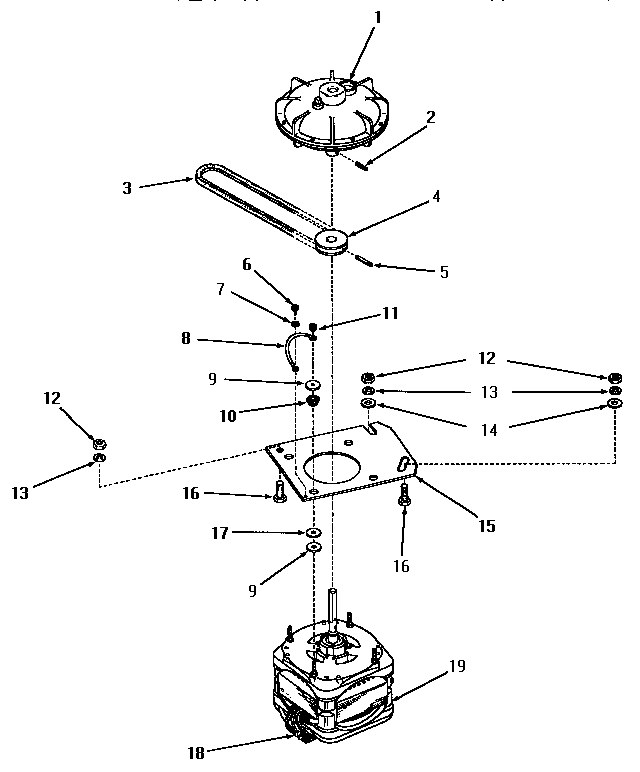 Motor and fluid drive