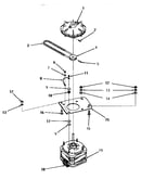 Motor and fluid drive