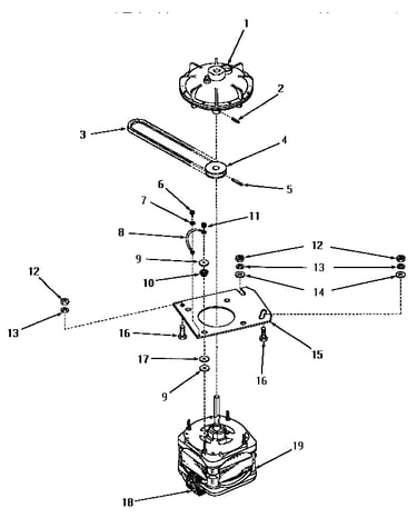 Motor and fluid drive