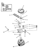Motor and fluid drive