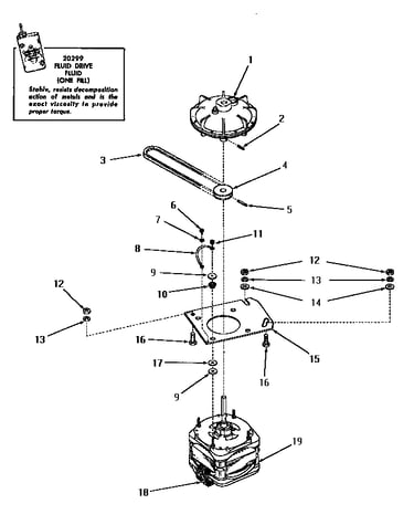 Motor and fluid drive