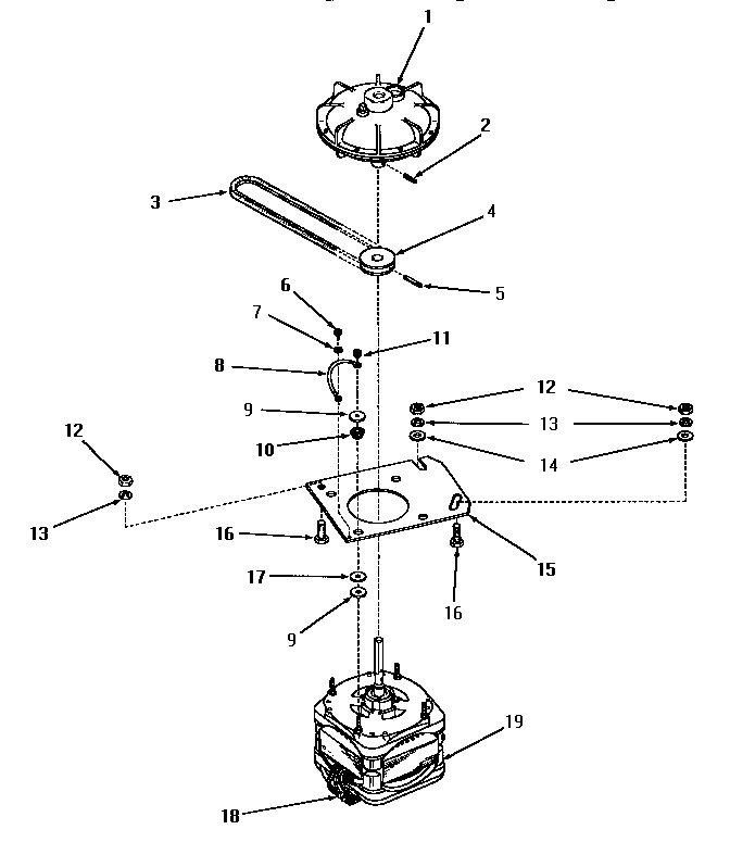 Motor and fluid drive