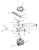 Motor and fluid drive