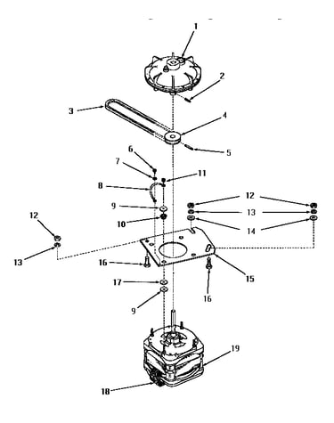 Motor and fluid drive