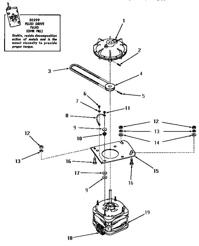 Motor and fluid drive