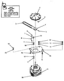 Motor and fluid drive