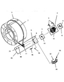 Motor, idler and belt