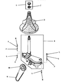Agitator and transmission assembly