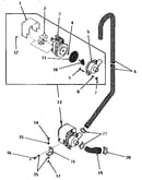 Motor and spin pump assembly