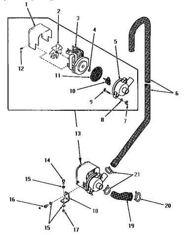 Motor and spin pump assembly