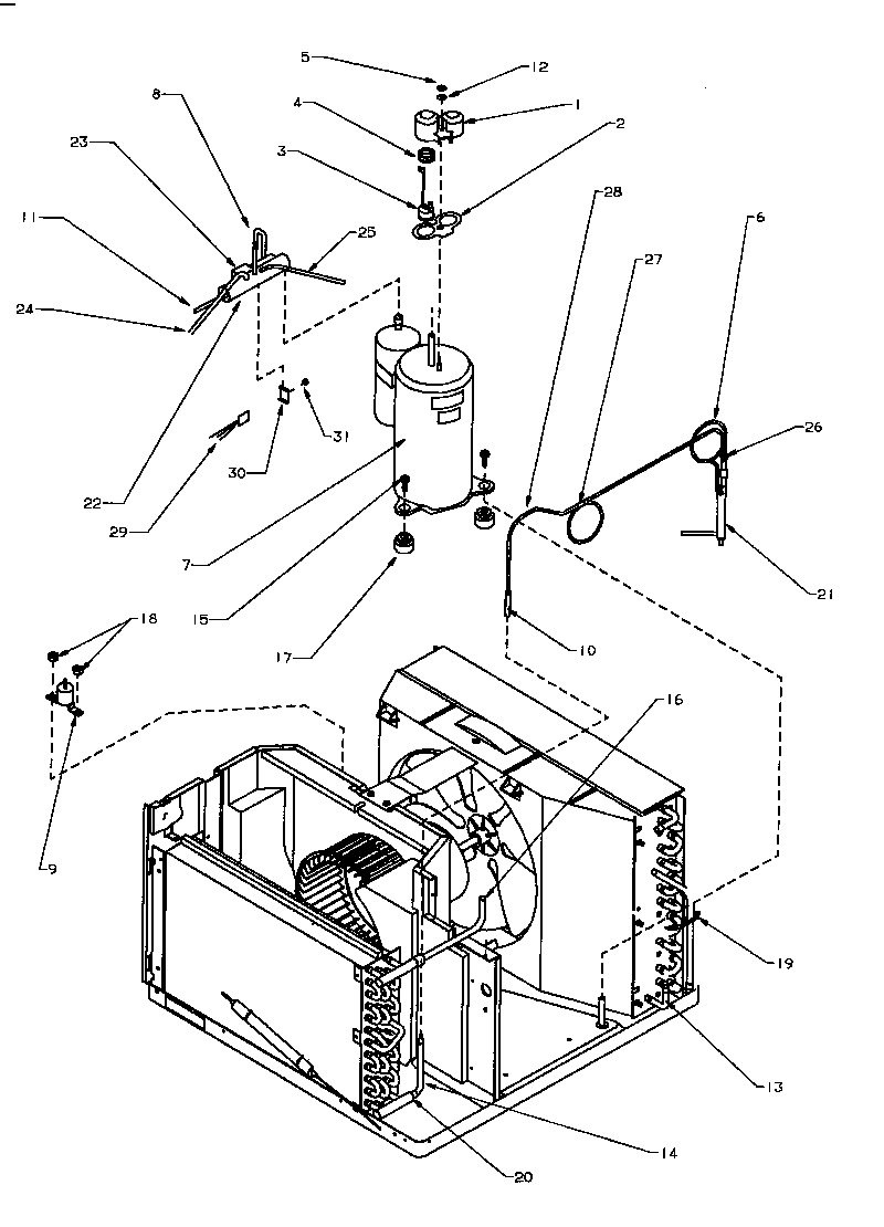 Compressor and tubing (12c3hev/p1118126r) (12c3hev/p1118127r) (12c3hev/p1118130r) (12c3hev/p1118131r) (12c3hew/p1177812r) (12c3hew/p1177813r) (12c3hew/p1177814r) (b12c3hes/p1152013r) (b12c3hew/p1177908r) (b12c3hew/p1177909r) (b12c3hew/p1177910r)