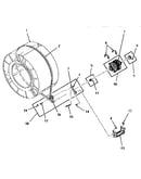 Motor, idler and belt