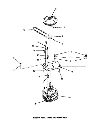 Motor, fluid drive & pump belt