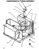 Compressor & tubing assembly
