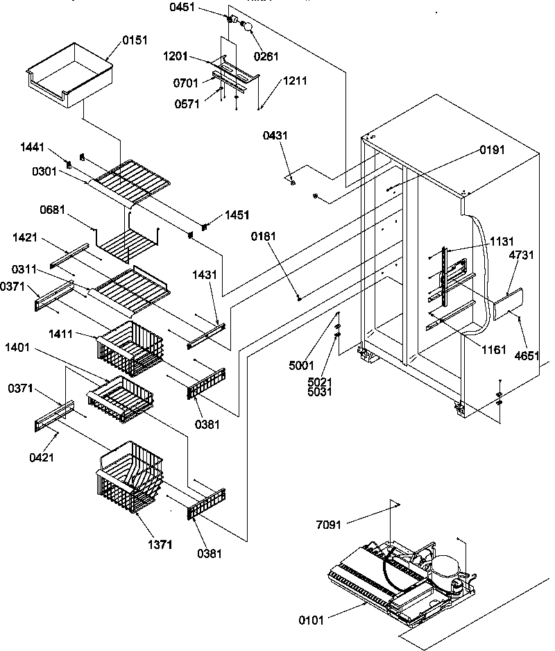 Freezer shelves and light