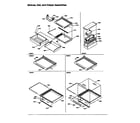 Amana SBD20S4W-P1190004WW shelves, dell, and crisper assemblies diagram