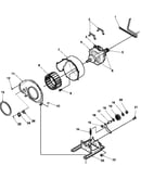 Motor and fan assemblies