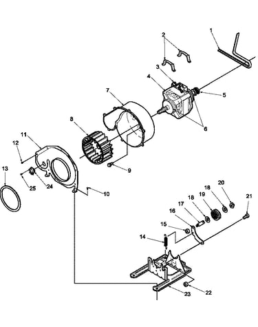 Motor and fan assemblies